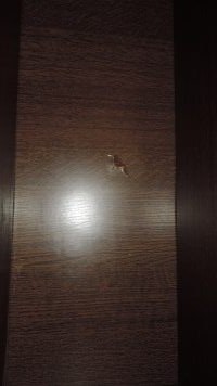 DSCN8032