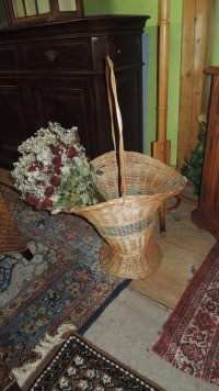 DSCN8067