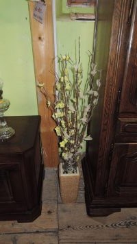 DSCN8077