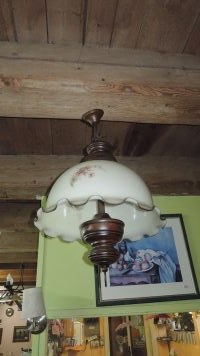 DSCN8209