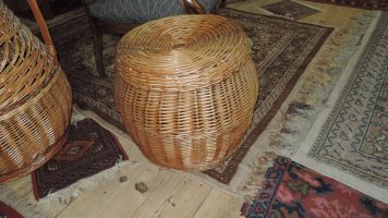 DSCN8226