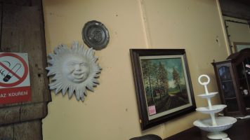 DSCN8305