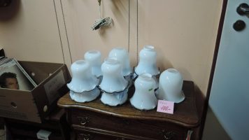 DSCN8662