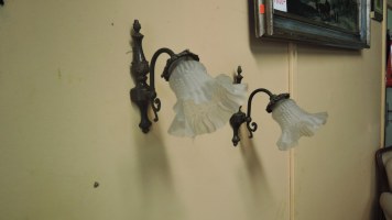 DSCN7543